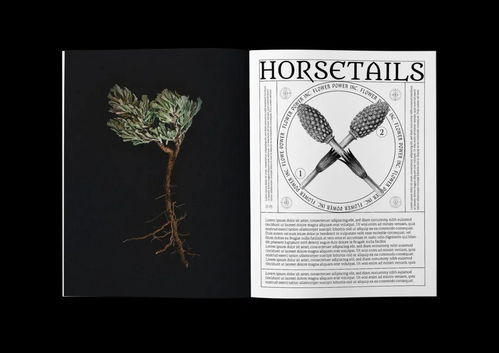 CGDA 2019視覺傳達設計獎獲獎作品賞析